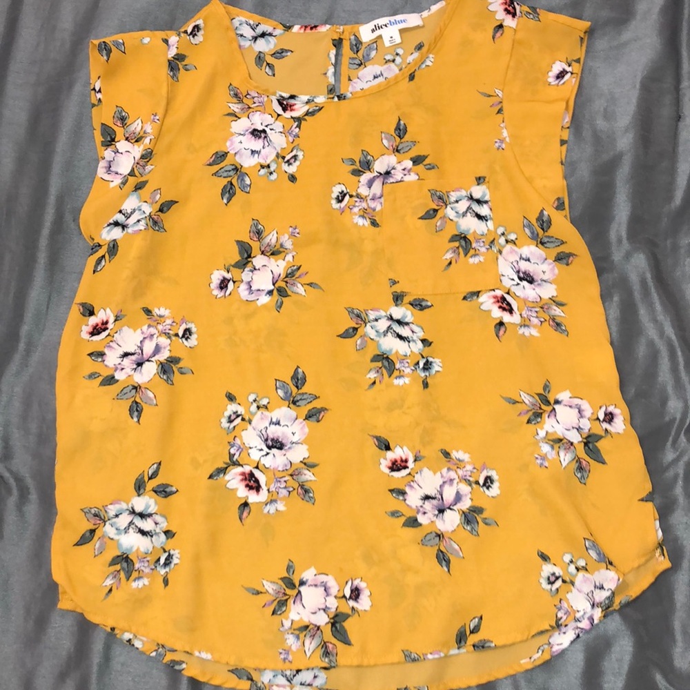 Alice Blue blouse